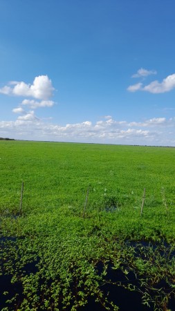 Campo en venta por camino publico EL LUCERO-Desde Huanqueros hay 55 km al casco y desde La Cabral 65 km ( ruta 4) y desde la ruta 11, desde Margarita hay 85 km9